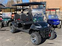 2020 I40FL ICON Electric Golf Cart/LSV, Freedom Golf Carts