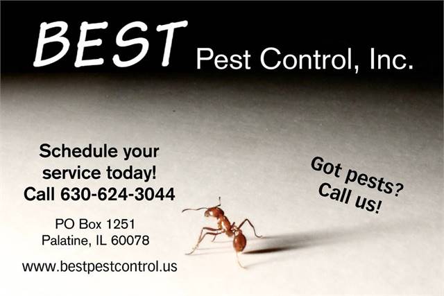 Pest Problems? Call BEST Pest Control for free quote over the phone!