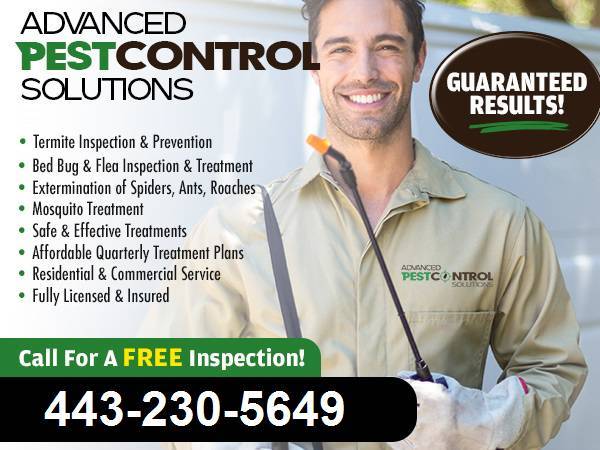 ✅PROFESSIONAL PEST CONTROL SERVICES ✅TERMITE INSPECTIONS ✅FUMIGATION