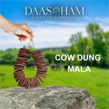 Cow Dung For Pooja 