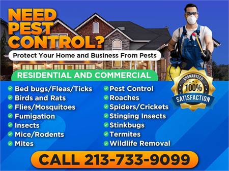 📲 PEST CONTROL IN LOS ANGELES - SAME DAY PEST CONTROL SERVICES 📲 (FREE ESTIMATE ☎️ (213) 733-9099)
