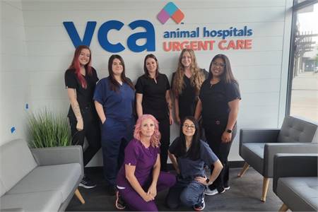 Veterinary/ Exam Room Assistant (VCA Hualapai)