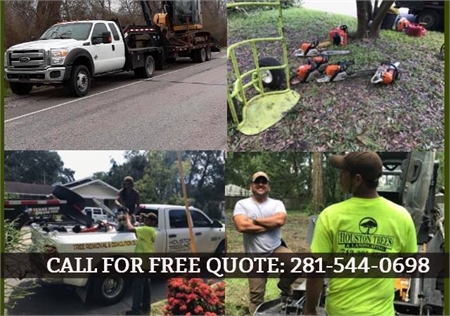  TREE TRIMMING 🔴TREE REMOVAL 🔴TREE SERVICE (Montrose, Midtown, River Oaks, Heights)