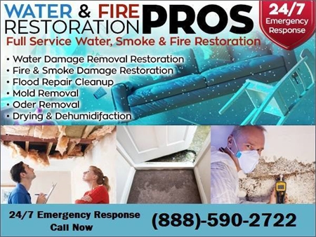 Water Flood & Mold Damage Cleanup -Extraction Removal & Restoration (DC & Surrounding)