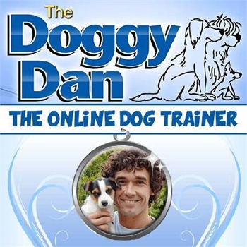 Watch our Best Dog Training Video