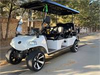 Freedom Golf Carts 2022 Evolution Carrier 6 Plus Golf Cart/Car