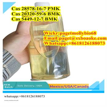 USA Canada Holland Warehouse Pmk Oil Pmk Powder CAS 28578-16-7 With best price