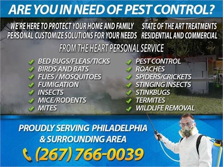 NEED PEST CONTROL? - WE CAN HELP THE BEST - PEST CONTROL @ GREAT RATES